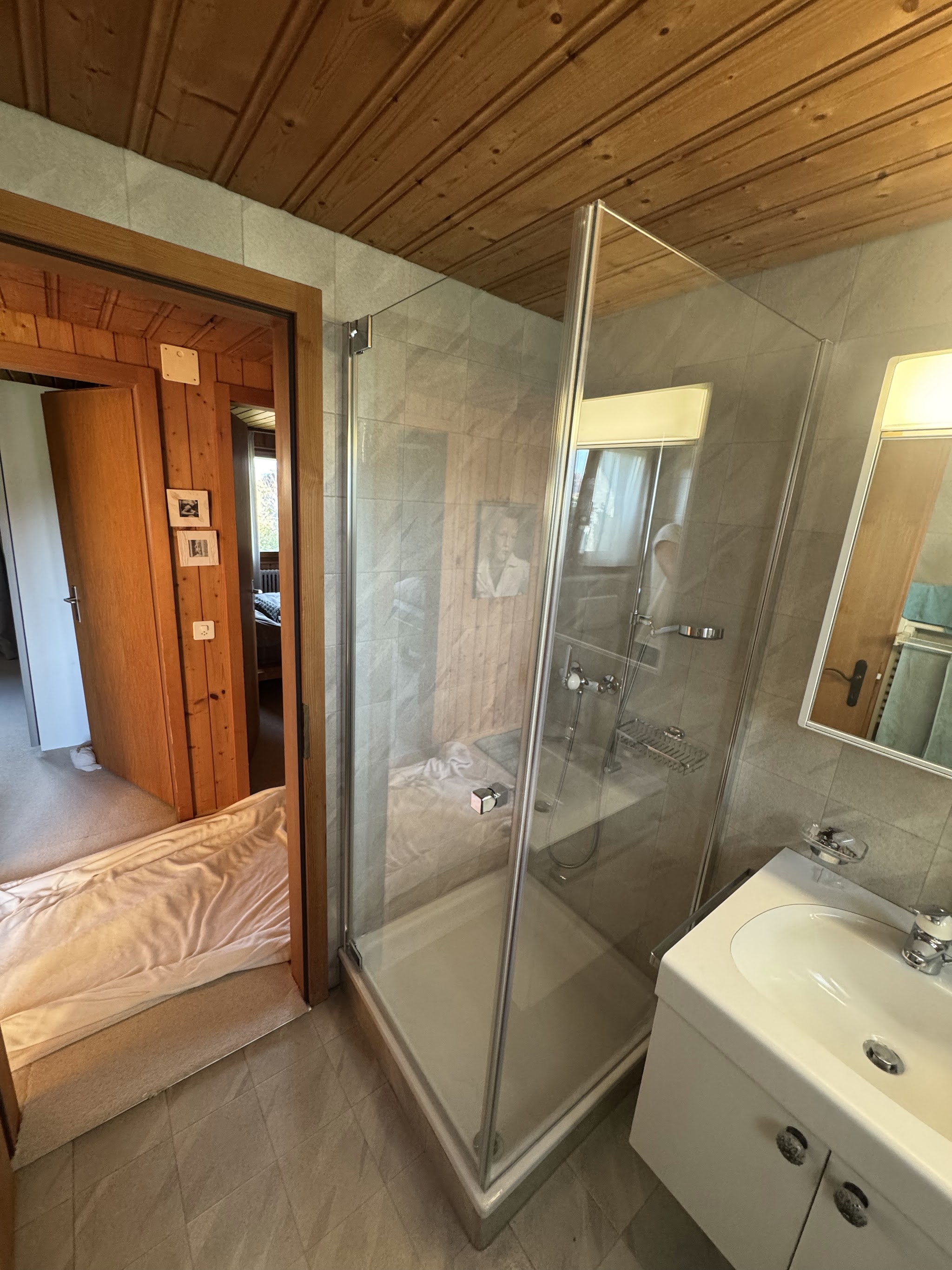 Glasdusche in Chalet-Badezimmer